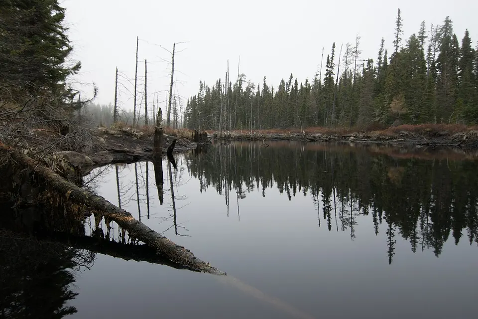 2016-11 Réserve faunique Ashuapmushuan 10 — Saguenay--Lac-Saint-Jean, Canada