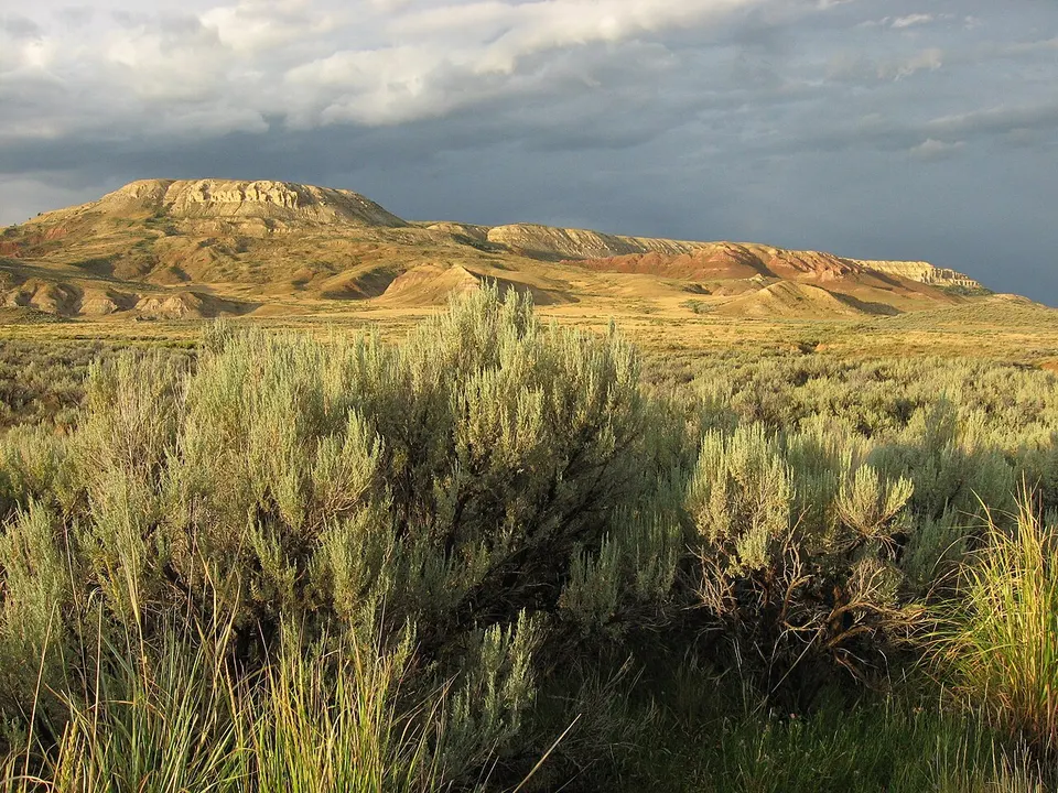 Fossil Butte is capped by limestone deposited by ancient Fossil Lake, part of the famous Green River Formation. Sagebrush steppe (f1cf9c14-155d-451f-67cf-1094ad7ca5d1) — Lincoln, United States