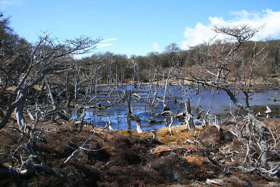 Ushuaia, Tierra del Fuego, Argentina - panoramio - Cayetano Roso (8) — Ushuaia, Argentina