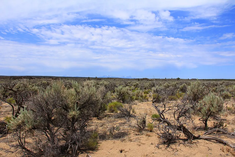 Badlands Landscape (11411017934) — Deschutes, United States