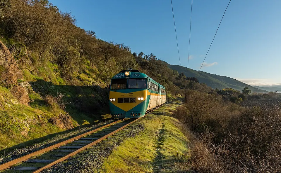 EFE ADM 255 Corinto — Provincia de Talca, Chile