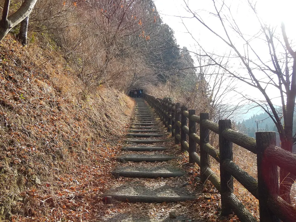 Kumano Kodo pilgrimage route Nakahechi From Gyuba-Dojiguchi To Kobiro-Mountain pass World heritage 熊野古道 中辺路 牛馬童子口～小広峠04 — Tanabe, Japan