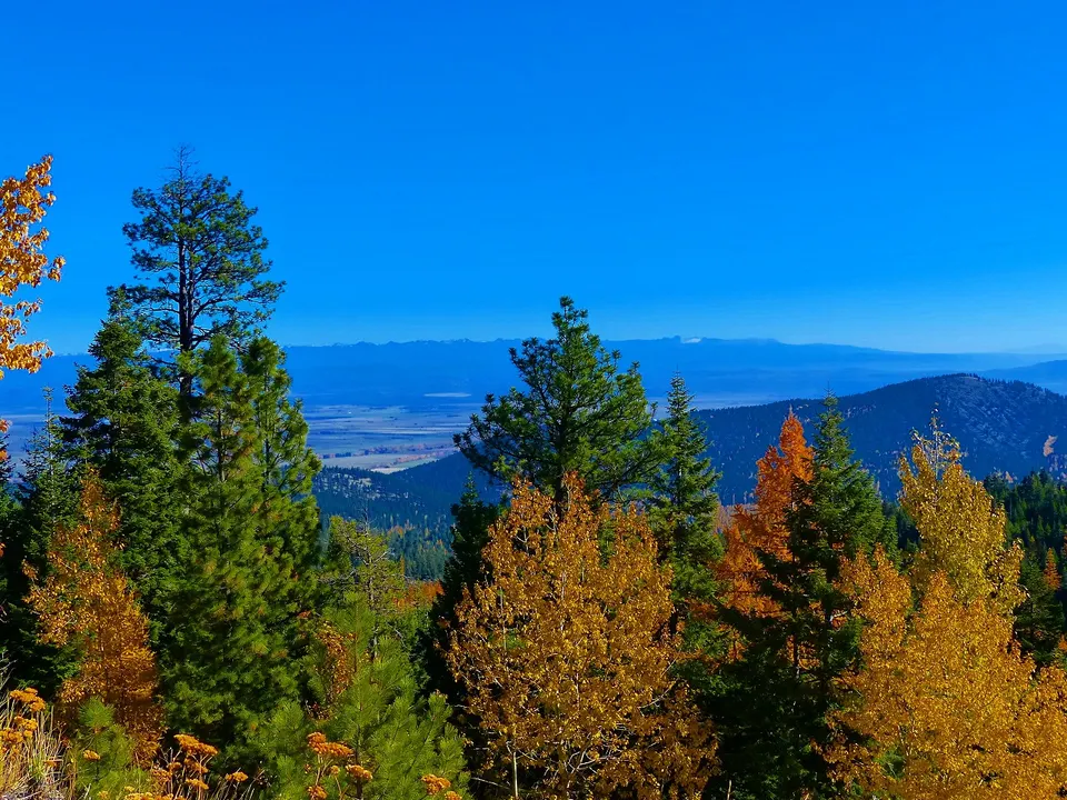 Fall colors above Enterprise, Wallowa-Whitman National Forest (26195908744) — Wallowa, United States