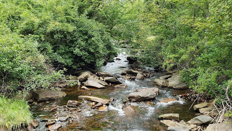 Long Run- North fork blackwater River — Tucker, United States