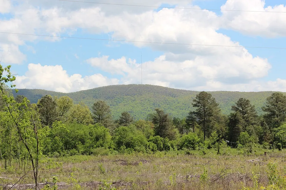 Bear Mountain (18583540111) — Bartow, United States