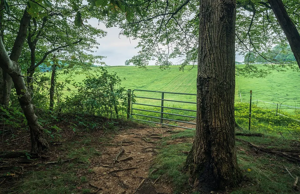 Blockhouse Point Conservation Park (51412616590) — Montgomery, United States