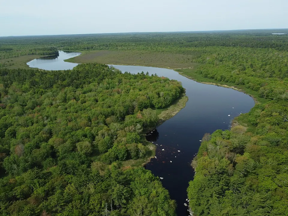Lower Shelburne River, Nova Scotia, June 2026 — Southern / Sud, Canada