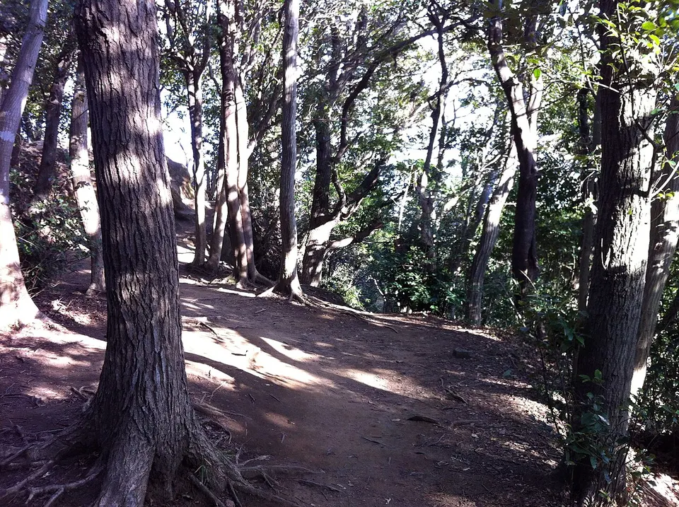 葛原岡・大仏ハイキングコース(Kuzuharaoka-Daibutsu Hiking Course) - panoramio (10) — Kamakura, Japan