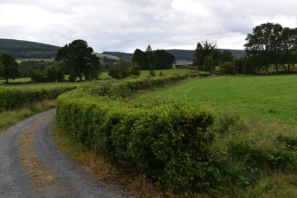 Lane to a farm at Castlekevin - geograph.org.uk - 6230640 — WICKLOW LEA-6, Ireland