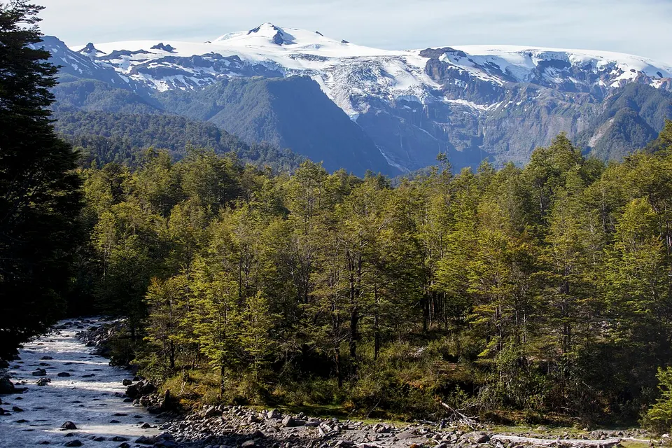 Michimahuida (45526815685) — Provincia de Palena, Chile