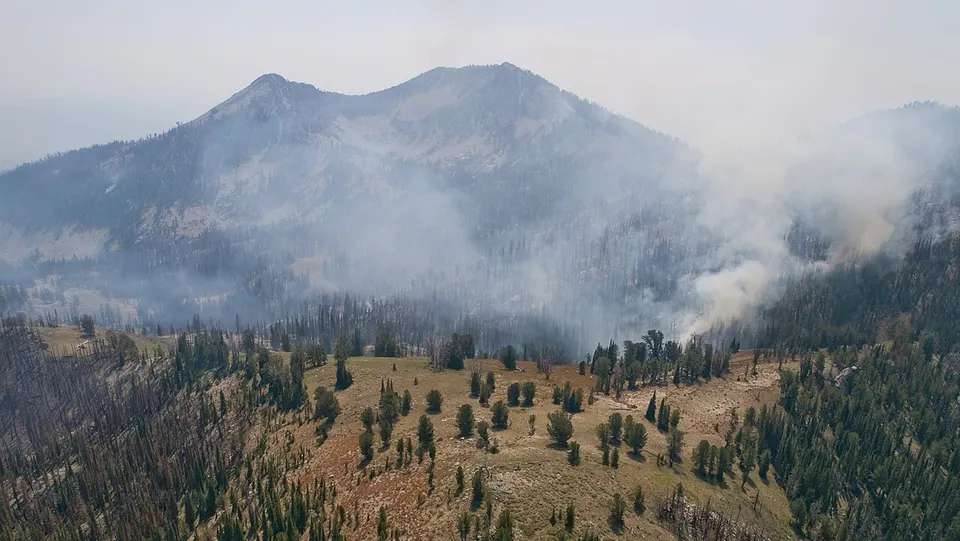 Elk Complex Fire Trinity Peaks — Elmore, United States