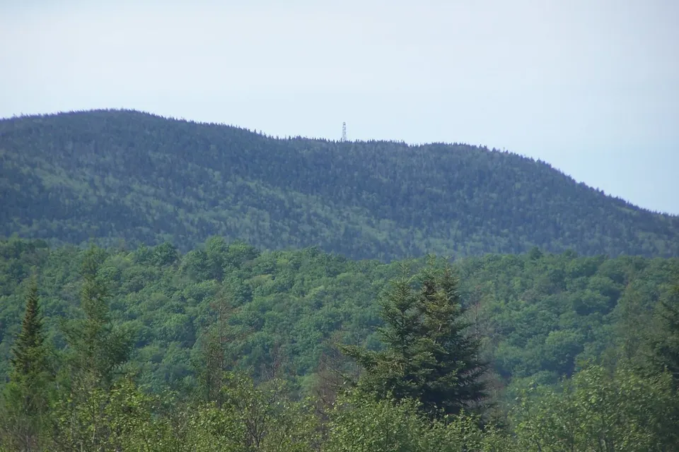 Wakely Mountain and Firetower May 2012 — Hamilton, United States