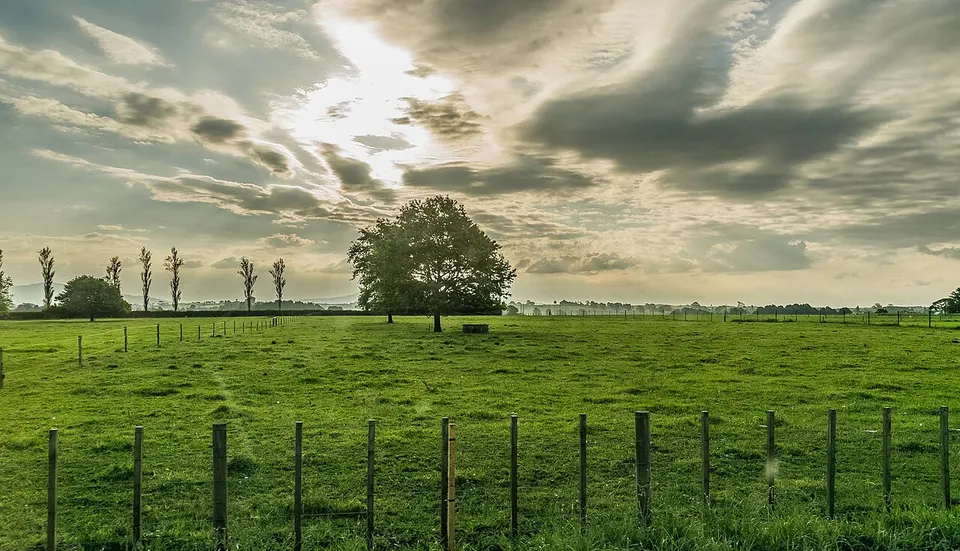 Landscape of Waikato Region 01 — Matamata-Piako District, New Zealand