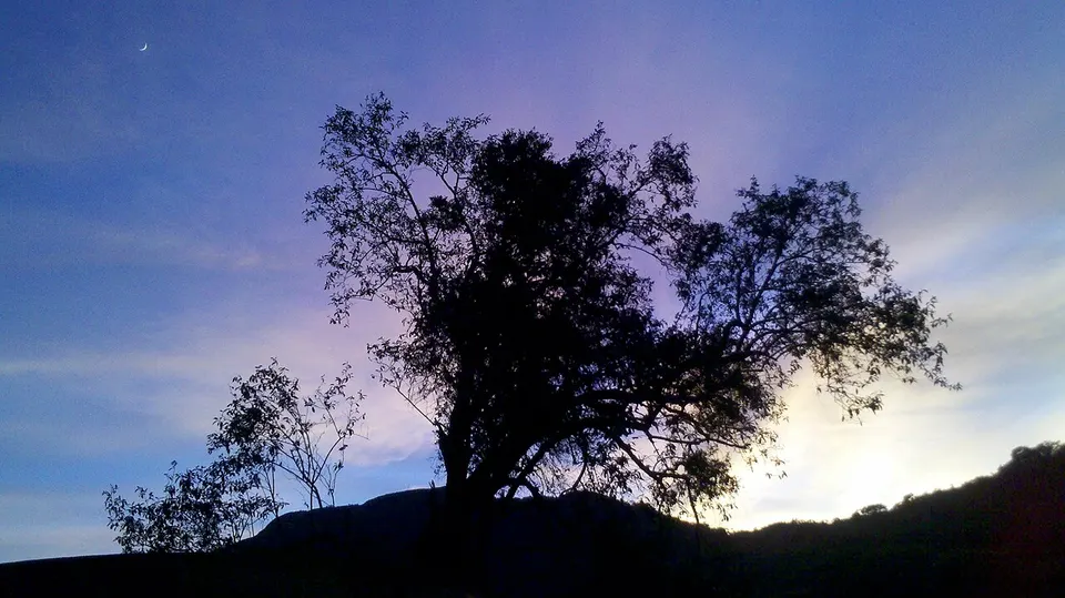 Morro do Cal - panoramio — Campo Largo, Brazil