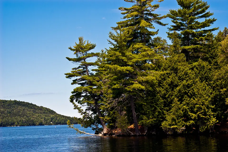 Moosehead Lake - Rowley Cove III (9355459676) — Piscataquis, United States