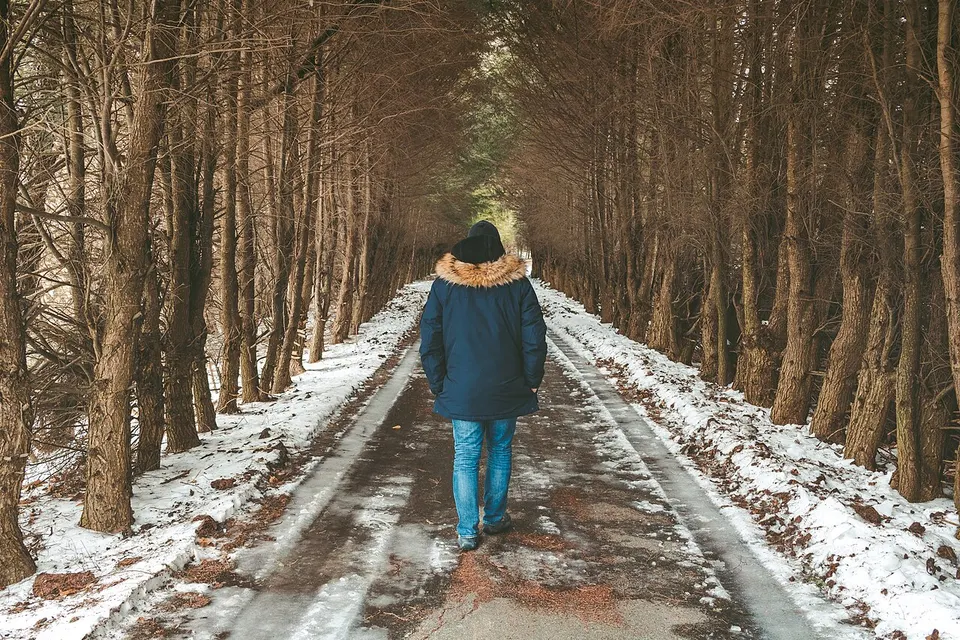 Long Trail (Unsplash) — Lamoille, United States