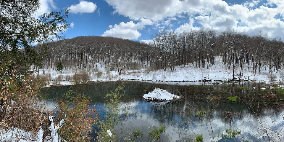Beaver lodge summit township PA — Potter, United States