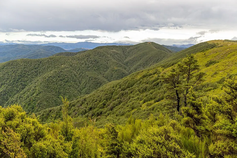 Summit Track to Mt Thomas, Mount Thomas Forest Conservation Area, Canterbury, New Zealand 01 — Waimakariri District, New Zealand