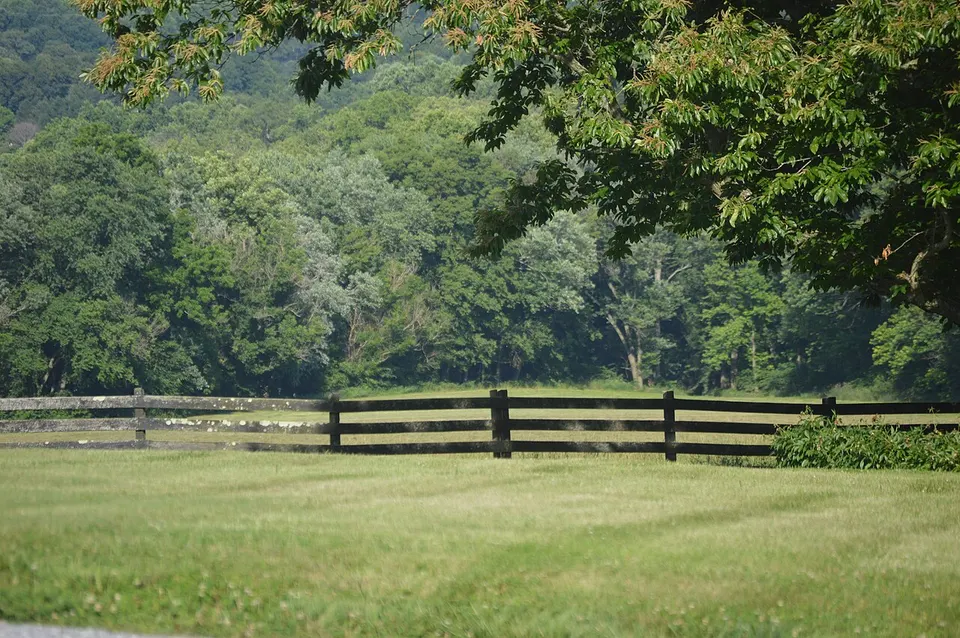 Looney Mill Creek Site — Botetourt, United States