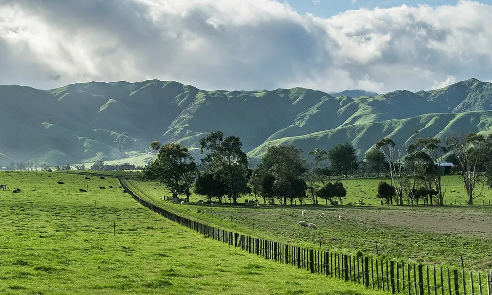 Landscape in Manawatu-Wanganui Region 05 — Horowhenua District, New Zealand