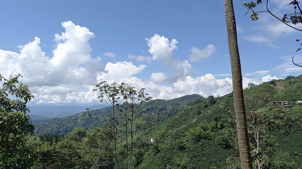 Manizales 5 — Villamaria, Colombia