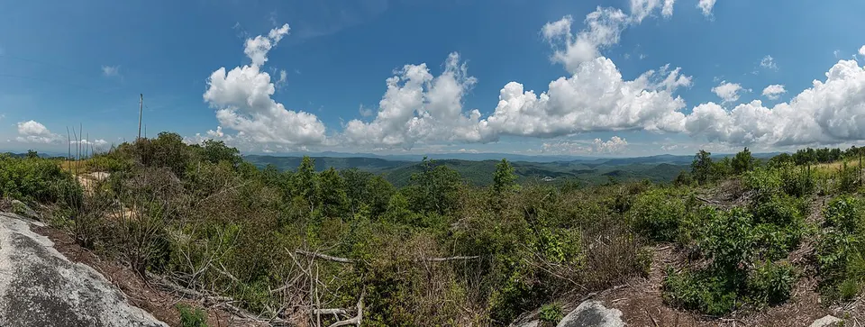 View of Blue Ridge Mountains from Sassafras Mountain 20160701 1 — Transylvania, United States