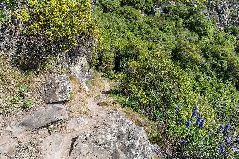 Coastal Cliffs Walkway, Canterbury, New Zealand 22 — Christchurch City, New Zealand