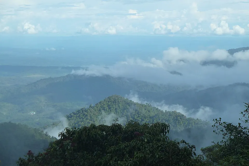 Guacamayos Ridge 2015-06-12 (1) (40391468691) — Archidona, Ecuador