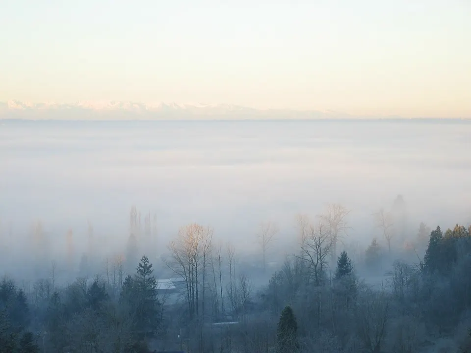 December Fog 01 — Snohomish, United States