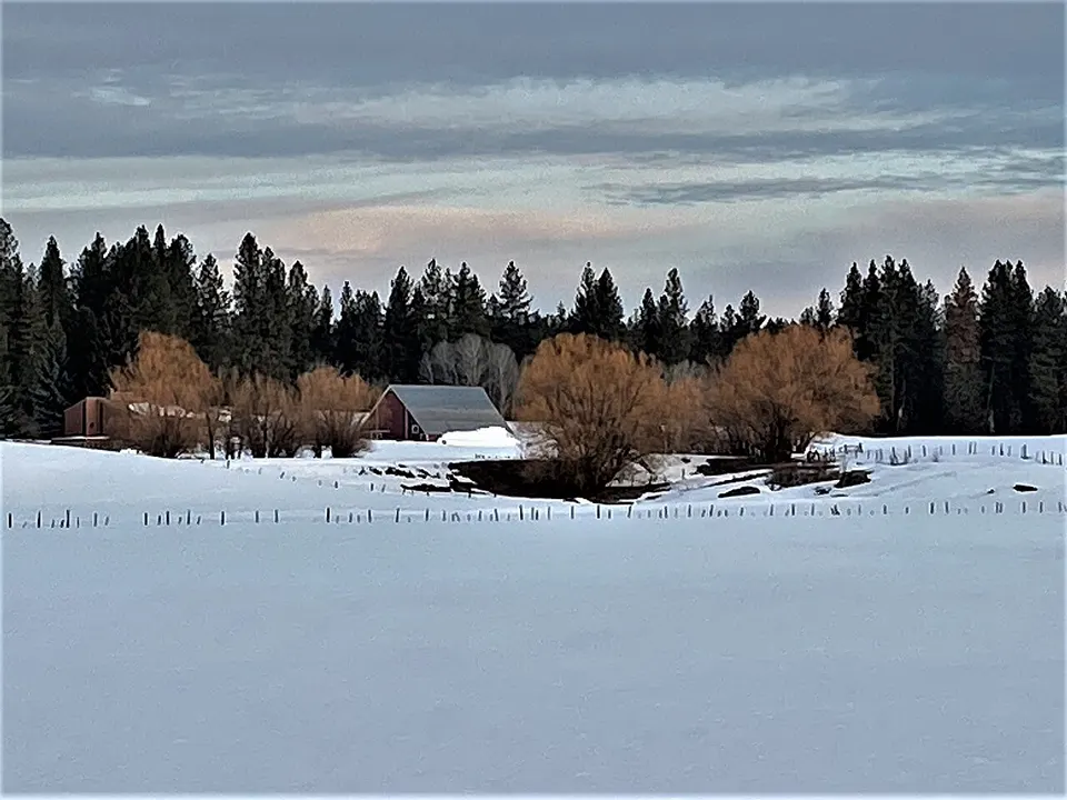 Matt N. Hill Homestead Barn3 NRHP 82000362 Valley County, ID — Valley, United States