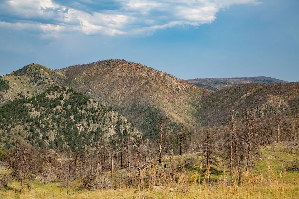 Mountains on Pingree Park Road - Poudre Canyon - Colorado — Larimer, United States