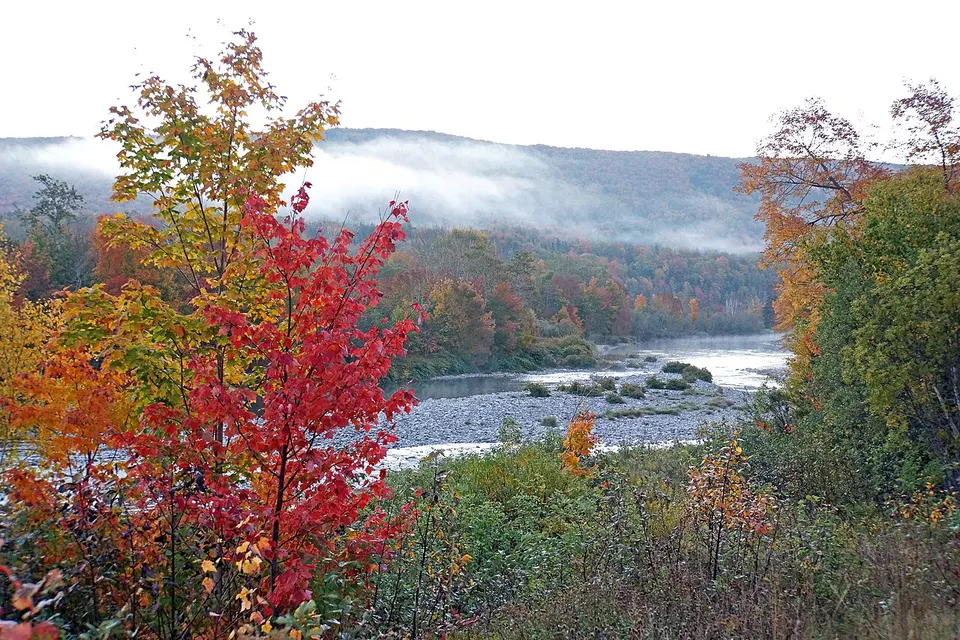 Morning Mist & Hospitality (15534830102) — Cape Breton, Canada