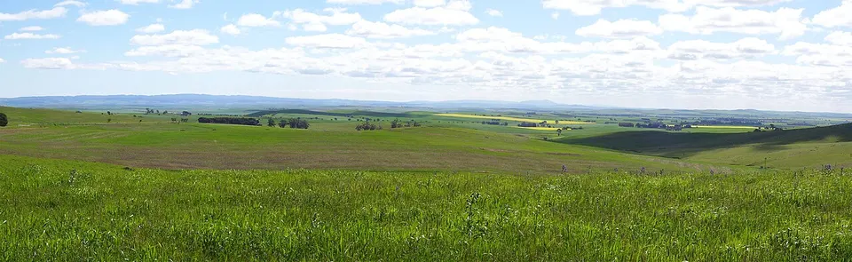 View from Bundaleer Forest border - panoramio — Northern Areas, Australia