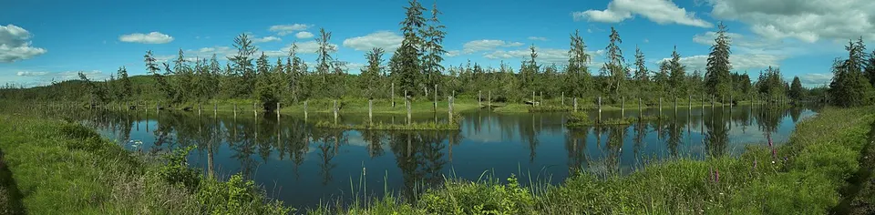 Hoquiam River - panoramio — Grays Harbor, United States