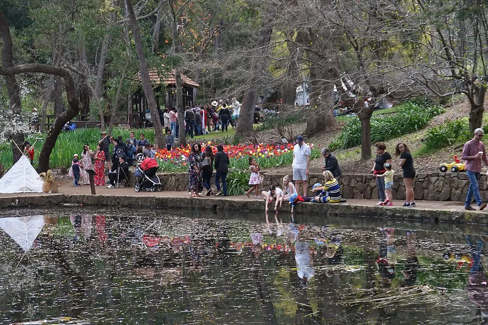 Main Pool (2) - Araluen — Armadale, Australia