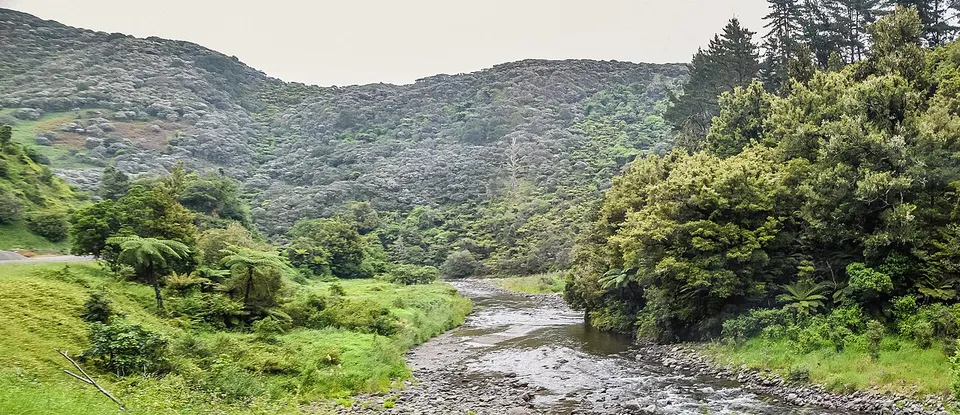 Waioeka River 02 — Ōpōtiki District, New Zealand