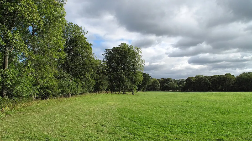 Field adjacent to River Wear - geograph.org.uk - 2082417 — County Durham, United Kingdom