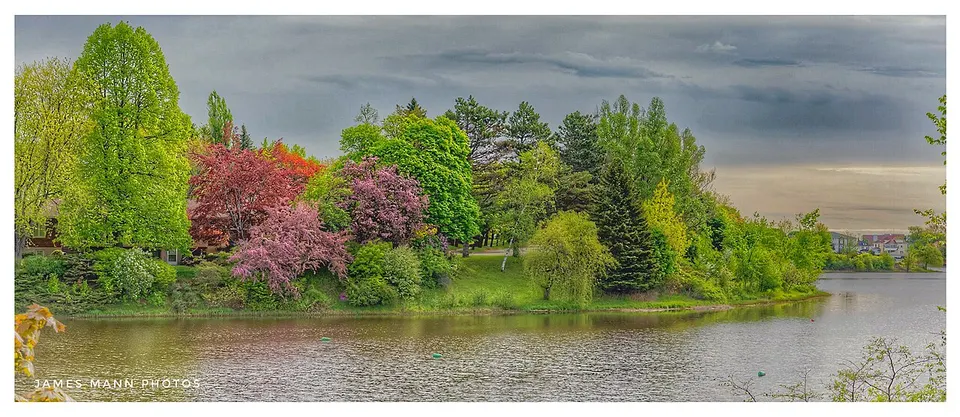 Jones Lake Spring — Moncton--Richibucto, Canada