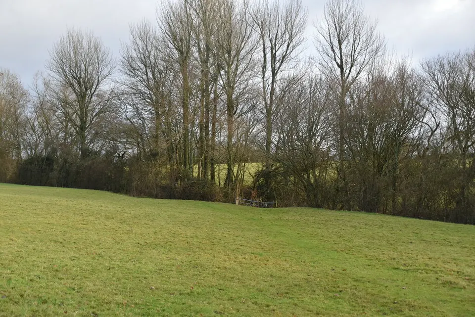 Small wooded valley - geograph.org.uk - 6948822 — East Sussex, United Kingdom