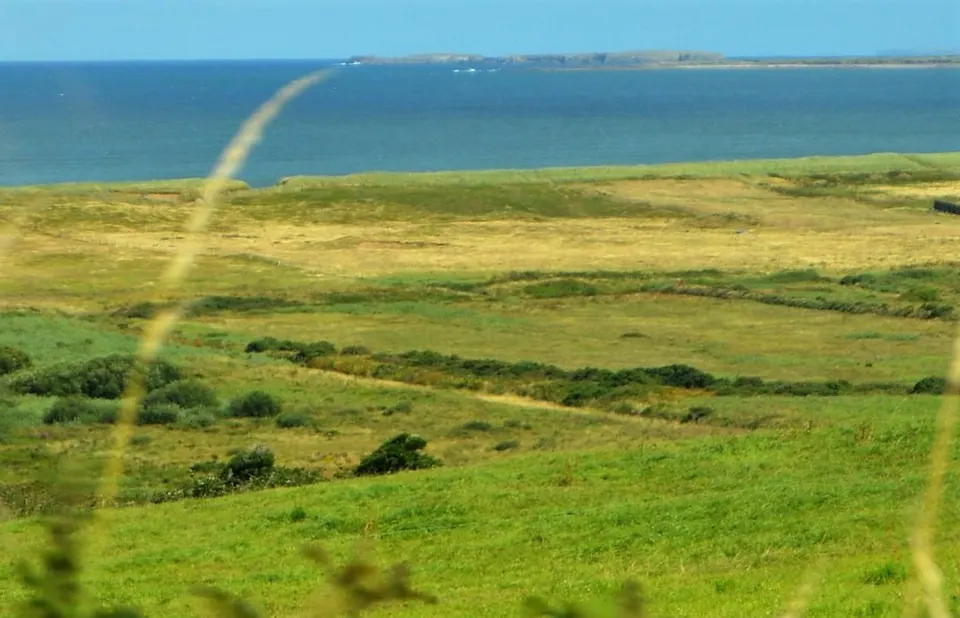 Farmland between coast and R560 - geograph.org.uk - 5950810 — CORCA DHUIBHNE LEA-3, Ireland
