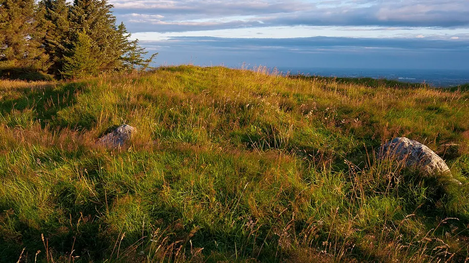 Remains of Cairn on Montpelier Hill — FIRHOUSE-BOHERNABREENA LEA-5, Ireland