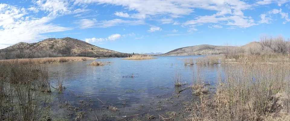 Patagonia Lake 2011-02-22 — Santa Cruz, United States