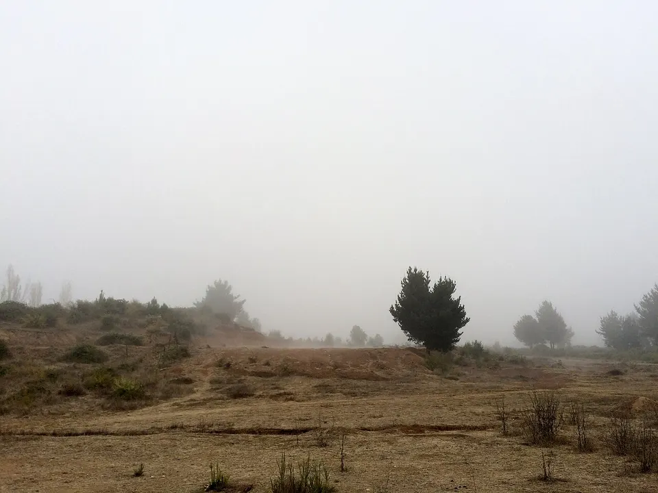 -i---i- (17303303951) — Provincia de Linares, Chile