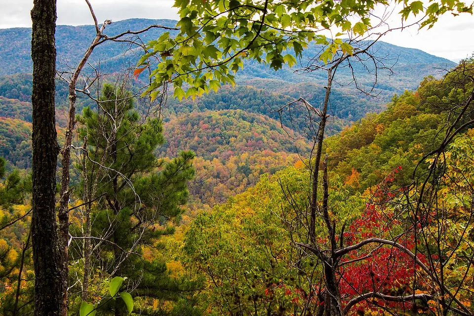 Great Smokey Mountains Tn (50820860) — Sevier, United States