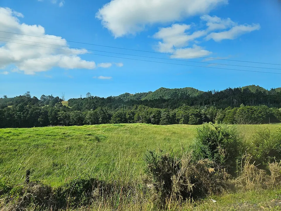 Otaika Valley 20260109 170037 — Whangarei District, New Zealand