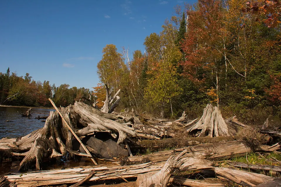 CNNF 2015-10-05 Forest Lodge projects-161 (3) (21809945259) — Sawyer, United States
