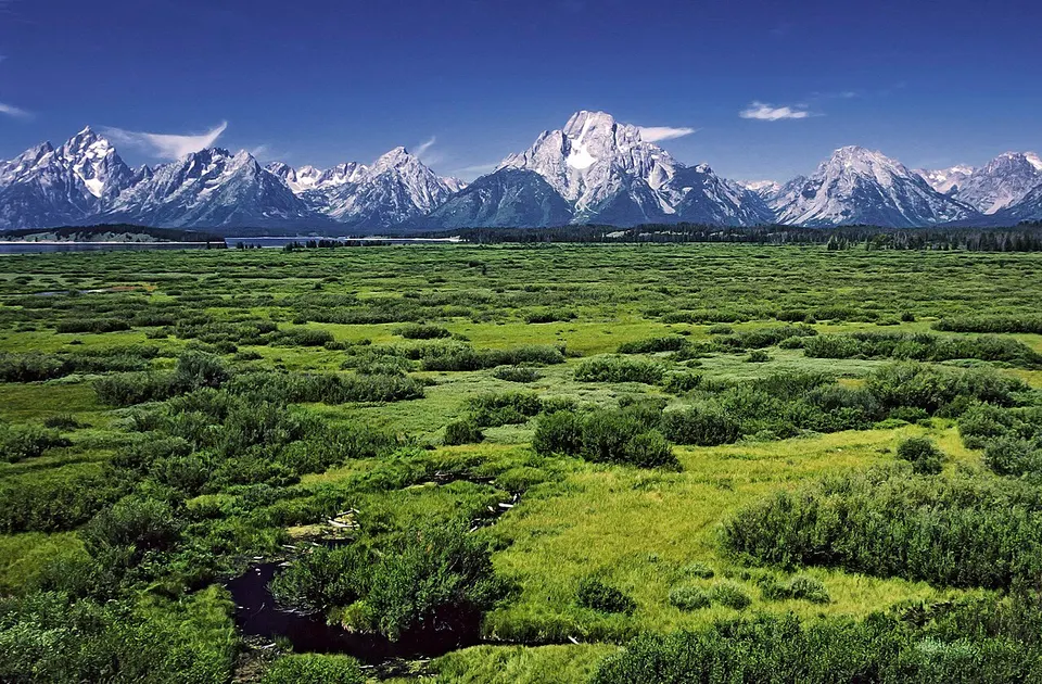 Willow Flats area and Teton Range in Grand Teton National Park — Teton, United States