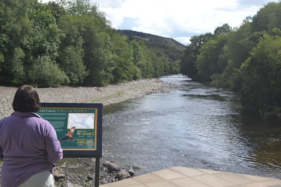 Rivers meeting - geograph.org.uk - 3609049 — ARKLOW LEA-6, Ireland