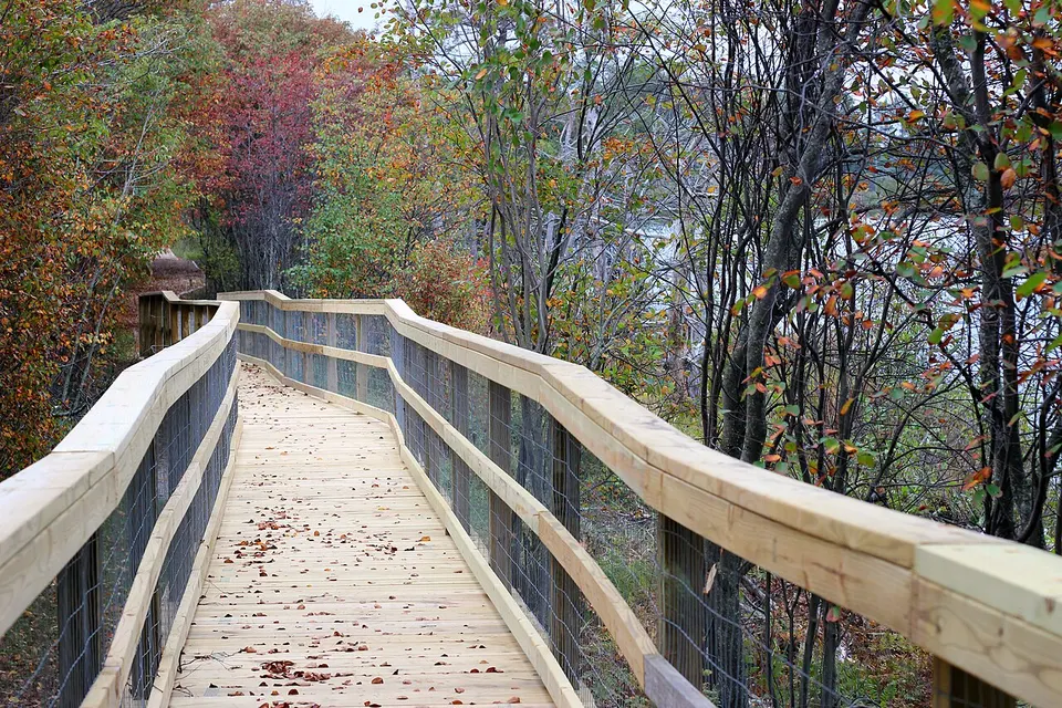 Nature Trail at Seney National Wildlife Refuge (15272659090) — Schoolcraft, United States
