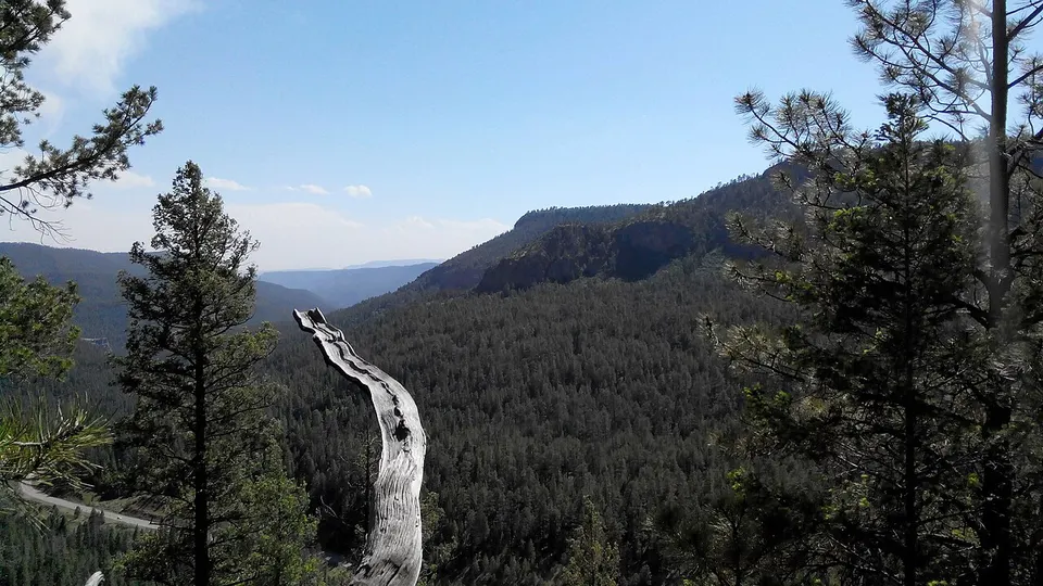 Redondo Overlook, Santa Fe National Forest, NM - panoramio — Sandoval, United States